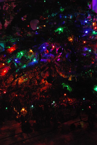 zdjęcie: DSC_0394.JPG