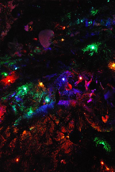 zdjęcie: DSC_0395.JPG