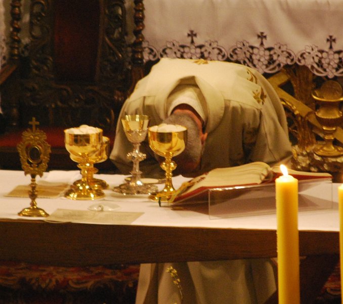 zdjęcie: DSC_0082.JPG