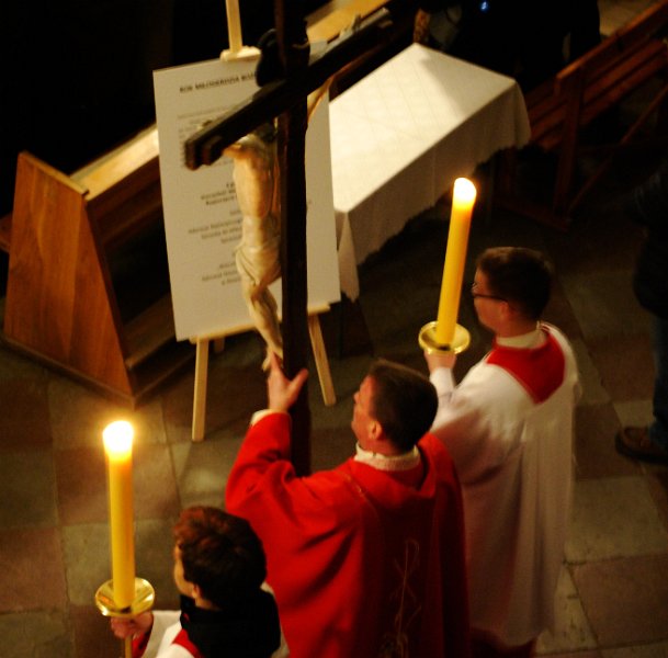 zdjęcie: DSC_0237.JPG