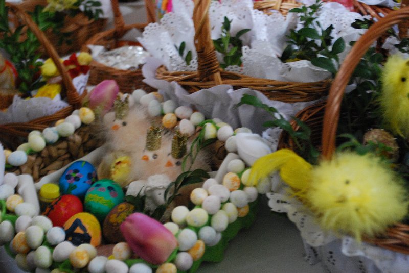 zdjęcie: DSC_0398.JPG