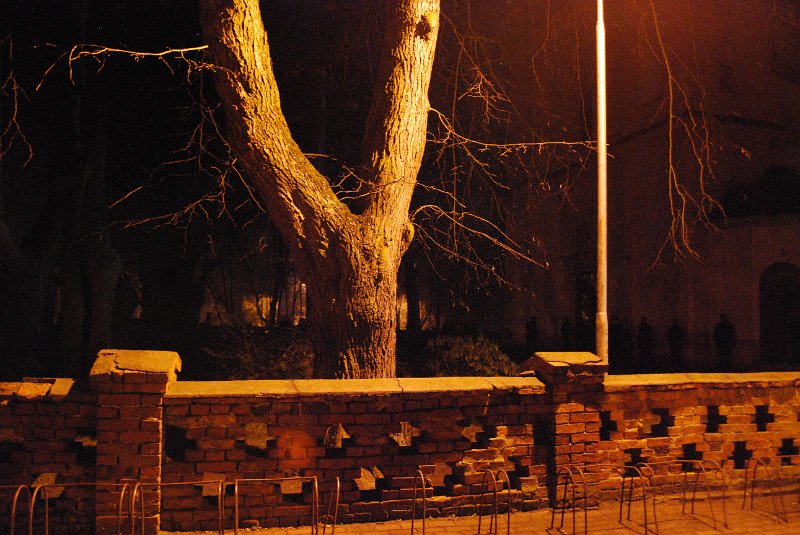 zdjęcie: DSC_0019.JPG