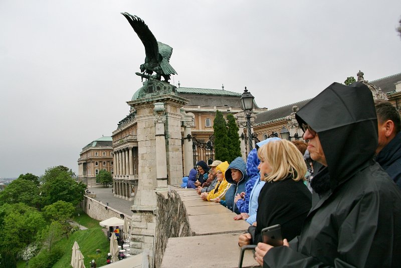 zdjęcie: DSC_023.JPG