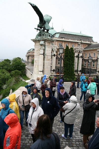 zdjęcie: DSC_024.JPG