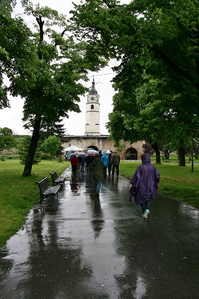 zdjęcie: DSC_041.JPG