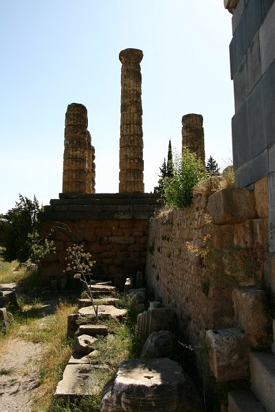 zdjęcie: DSC_201.JPG