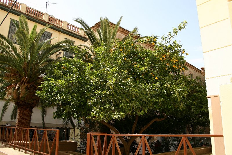 zdjęcie: DSC_283.JPG