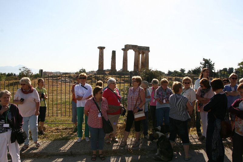 zdjęcie: DSC_378.JPG