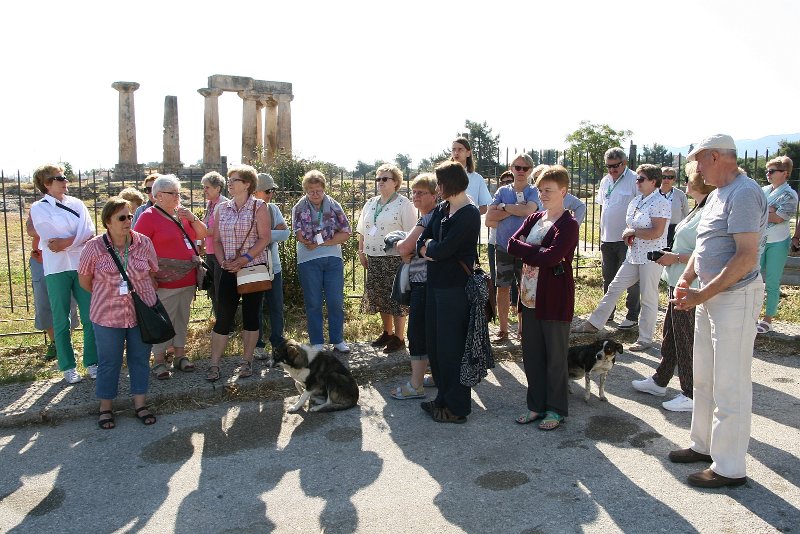 zdjęcie: DSC_379.JPG