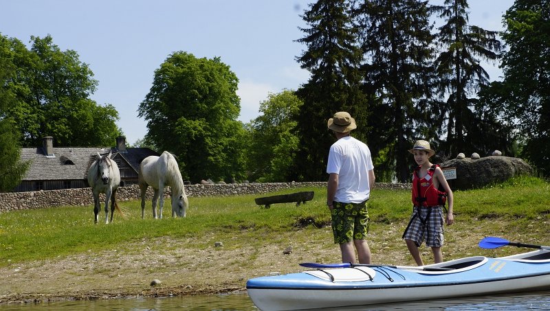 zdjęcie: DSC_041.JPG