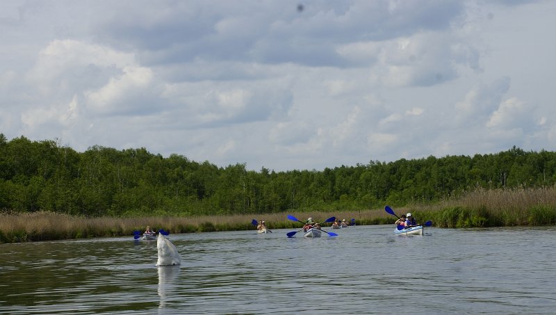 zdjęcie: DSC_067.JPG