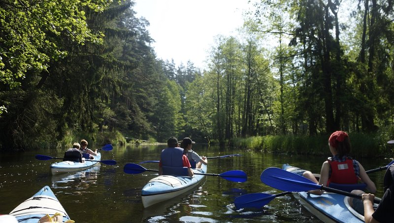 zdjęcie: DSC_120.JPG