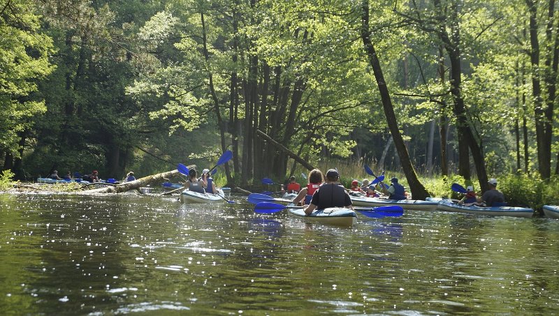 zdjęcie: DSC_121.JPG