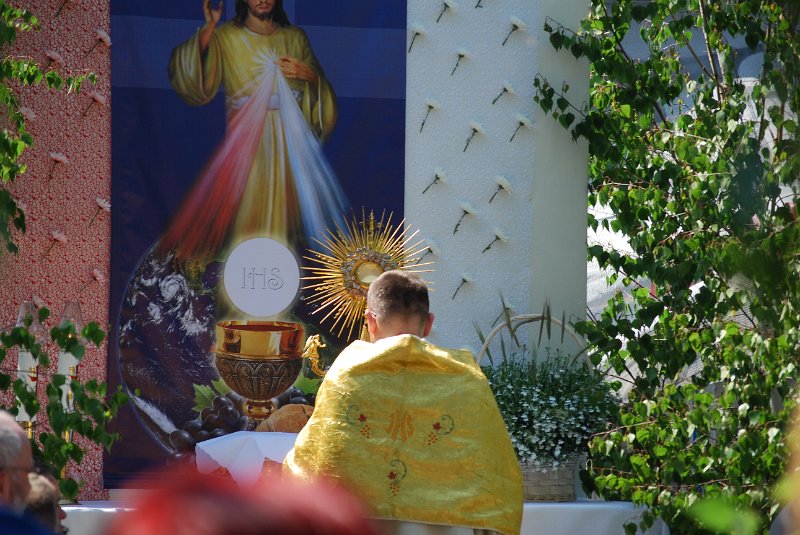 zdjęcie: DSC_0125.JPG