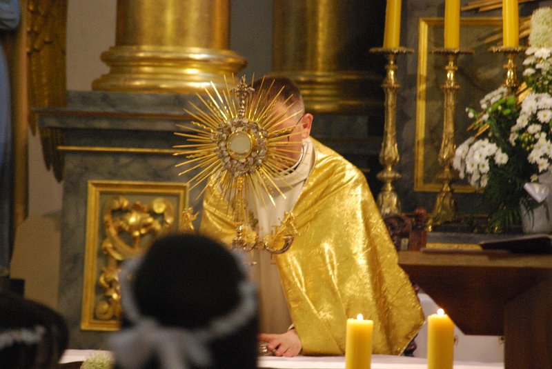 zdjęcie: DSC_0154.JPG