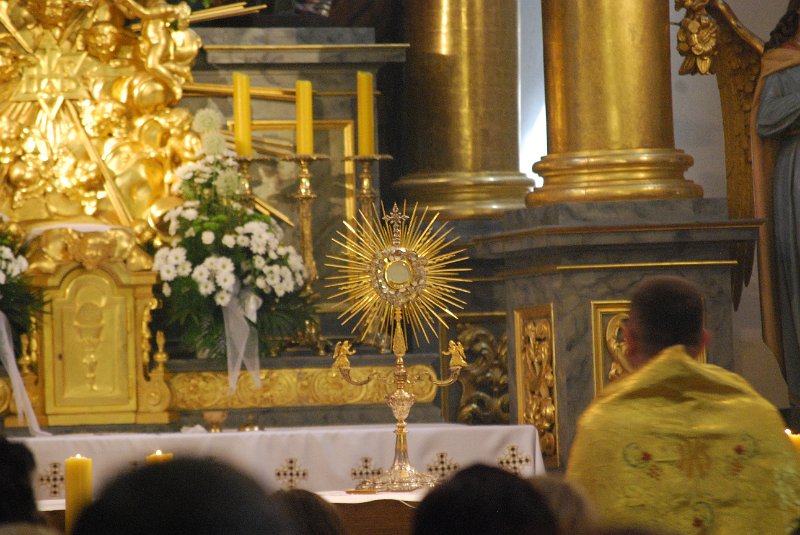 zdjęcie: DSC_0156.JPG