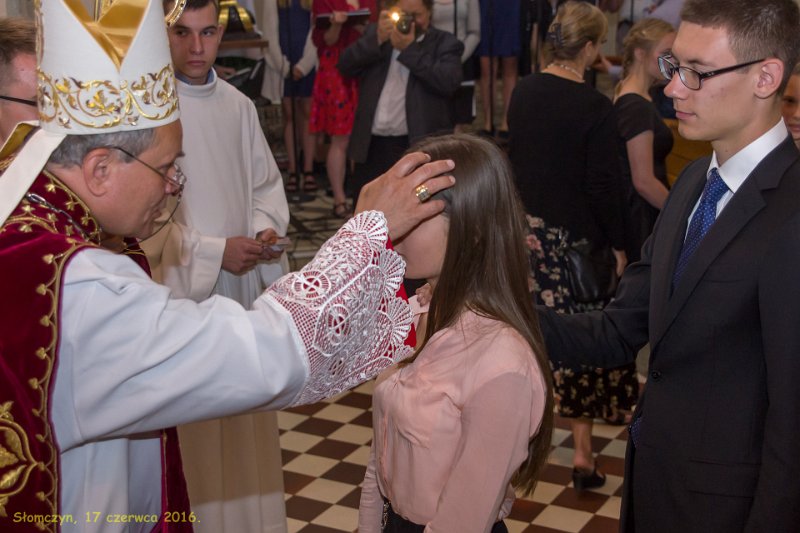 zdjęcie: DSC_070-DSC02211.jpg