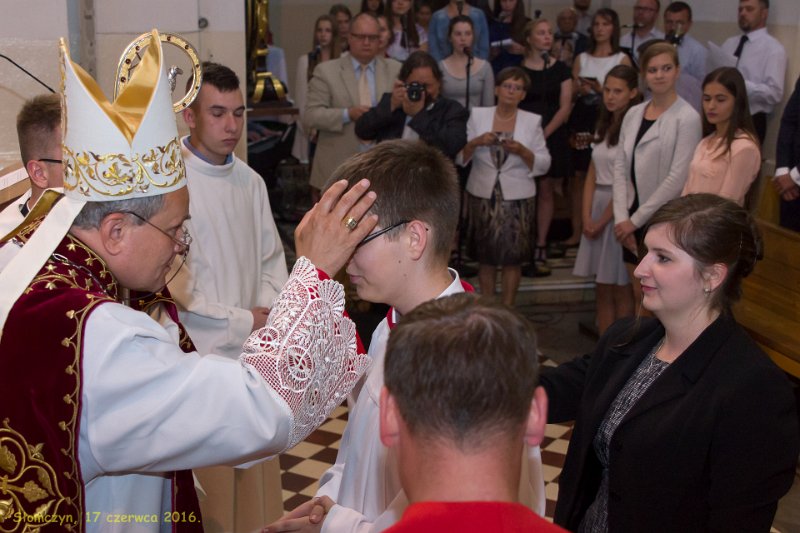 zdjęcie: DSC_086-DSC02232.jpg