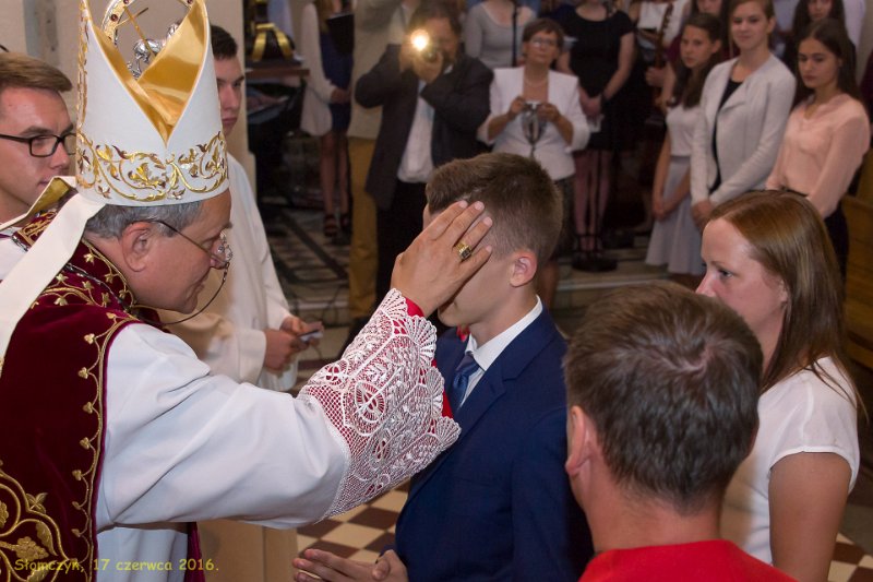 zdjęcie: DSC_105-DSC02259.jpg