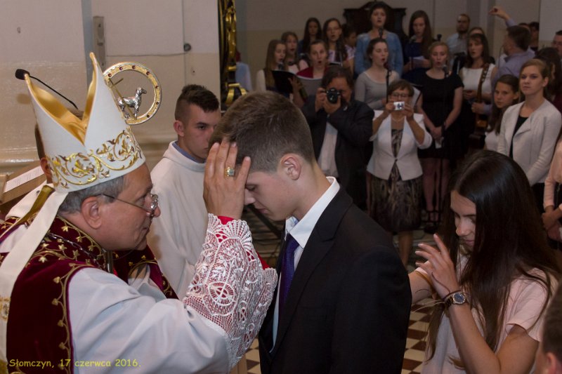 zdjęcie: DSC_114-DSC02272.jpg