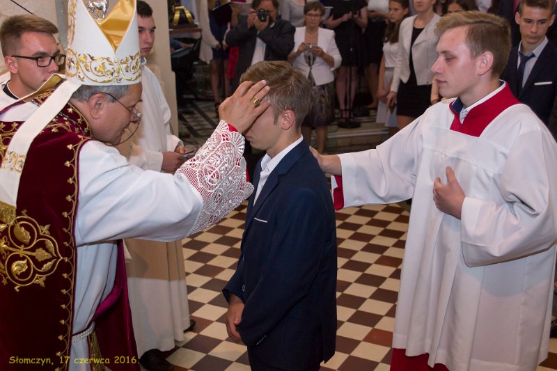 zdjęcie: DSC_116-DSC02275.jpg