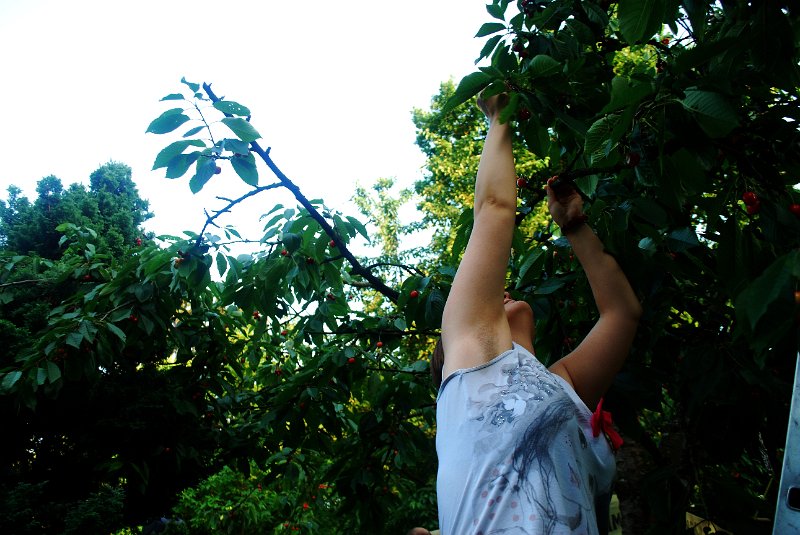 zdjęcie: DSC_0395.JPG