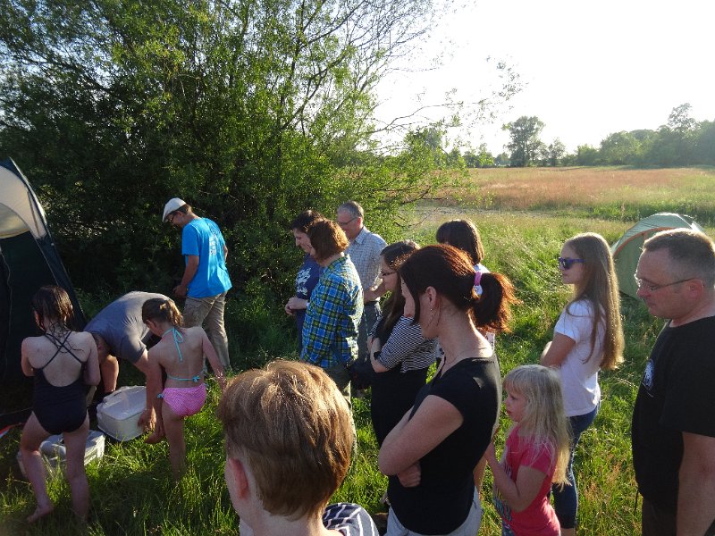 zdjęcie: DSC04497.JPG