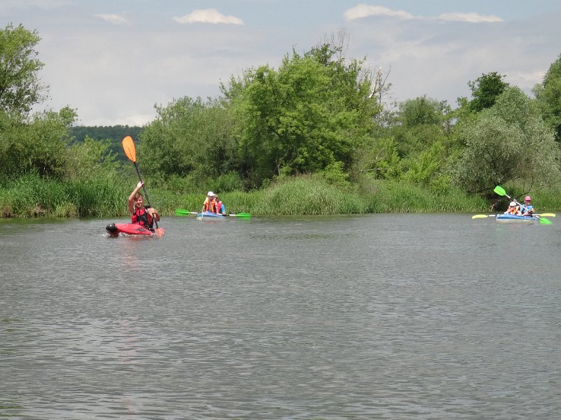 zdjęcie: DSC04833.JPG