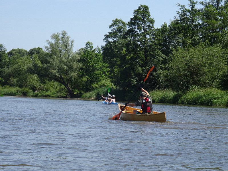 zdjęcie: DSC05220.JPG