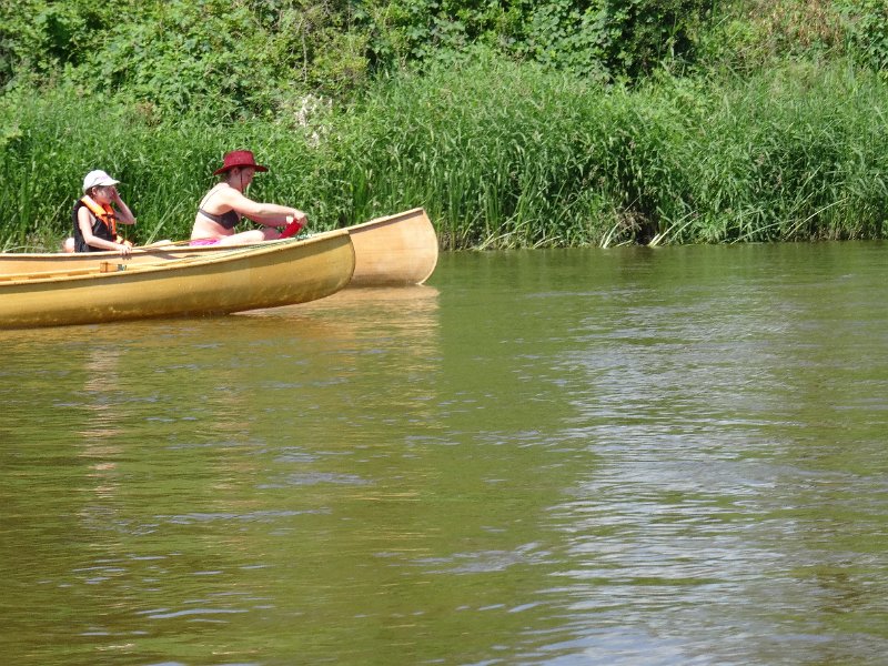 zdjęcie: DSC05445.JPG