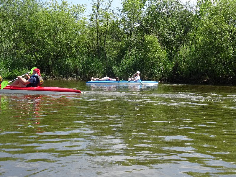 zdjęcie: DSC05516.JPG