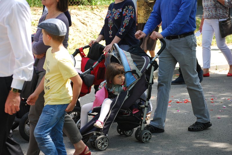 zdjęcie: DSC_0096.JPG