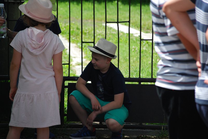 zdjęcie: DSC_0100.JPG