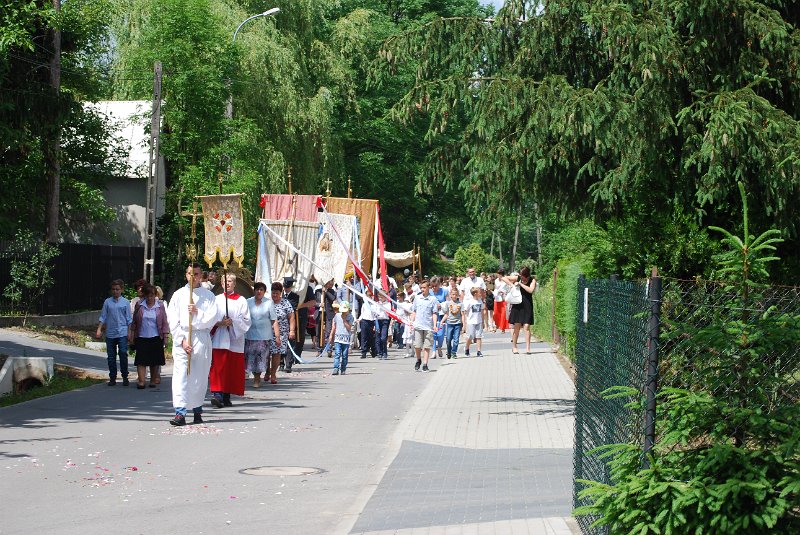 zdjęcie: DSC_0115.JPG