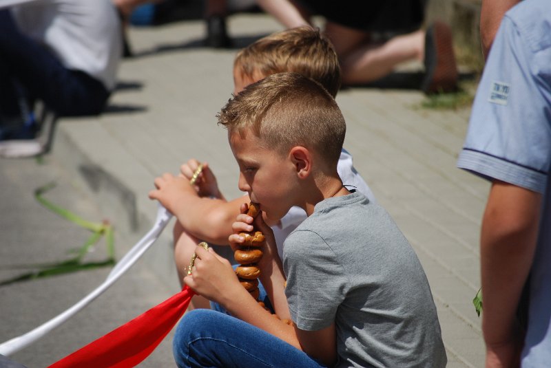 zdjęcie: DSC_0122.JPG