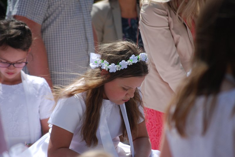 zdjęcie: DSC_0166.JPG