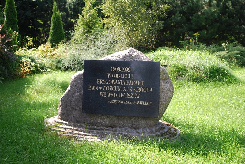 zdjęcie: DSC_D0160.JPG
