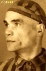 BIERNAT Adalbert - c. 08.01.1942, KL Auschwitz, concentration camp's photo; source: Archives of Auschwitz-Birkenau State Museum in Oświęcim (auschwitz.org), own collection; CLICK TO ZOOM AND DISPLAY INFO