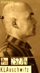 BIERNAT Adalbert - c. 08.01.1942, KL Auschwitz, concentration camp's photo; source: Archives of Auschwitz-Birkenau State Museum in Oświęcim (auschwitz.org), own collection; CLICK TO ZOOM AND DISPLAY INFO