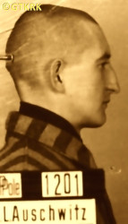 BLACHNICKI Francis Charles - c. 25.06.1940, KL Auschwitz, concentration camp's photo; source: Archives of Auschwitz-Birkenau State Museum in Oświęcim (www.auschwitz.org), own collection; CLICK TO ZOOM AND DISPLAY INFO