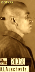 BOGUSZ Stephen (Bro. Felix) - c. 24.09.1941, KL Auschwitz, concentration camp's photo; source: Archives of Auschwitz-Birkenau State Museum in Oświęcim (auschwitz.org), own collection; CLICK TO ZOOM AND DISPLAY INFO