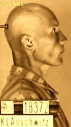 DAUKANTAS Constantine - c. 24.07.1941, KL Auschwitz, concentration camp's photo; source: Archives of Auschwitz-Birkenau State Museum in Oświęcim (www.varniai-museum.lt), own collection; CLICK TO ZOOM AND DISPLAY INFO