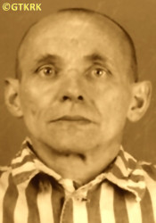 GALOS Sebastian (Fr Raphael) - c. 09.10.1942, KL Auschwitz, concentration camp's photo; source: Archives of Auschwitz-Birkenau State Museum in Oświęcim (auschwitz.org), own collection; CLICK TO ZOOM AND DISPLAY INFO