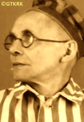 GALOS Sebastian (Fr Raphael) - c. 09.10.1942, KL Auschwitz, concentration camp's photo; source: Archives of Auschwitz-Birkenau State Museum in Oświęcim (auschwitz.org), own collection; CLICK TO ZOOM AND DISPLAY INFO