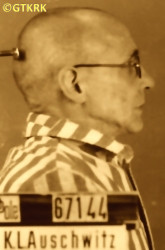 GALOS Sebastian (Fr Raphael) - c. 09.10.1942, KL Auschwitz, concentration camp's photo; source: Archives of Auschwitz-Birkenau State Museum in Oświęcim (auschwitz.org), own collection; CLICK TO ZOOM AND DISPLAY INFO