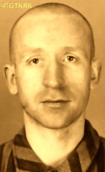 GOLDA Charles - c. 02.02.1942, KL Auschwitz, concentration camp's photo; source: Archives of Auschwitz-Birkenau State Museum in Oświęcim (auschwitz.org), own collection; CLICK TO ZOOM AND DISPLAY INFO