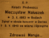 MATUSZEK Mieczysław Bolesław - Tablica pamiątkowa, kościół parafialny, Kórnik, źródło: www.wtg-gniazdo.org, zasoby własne; KLIKNIJ by POWIĘKSZYĆ i WYŚWIETLIĆ INFO