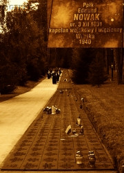 NOWAK Edmund - Tabliczka pamiątkowa, Polski Cmentarz Wojenny, Miednoje, źródło: www.moremaiorum.pl, zasoby własne; KLIKNIJ by POWIĘKSZYĆ i WYŚWIETLIĆ INFO