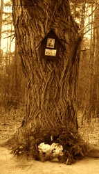 SONSALLA Anna (s. Maria Herais) - Pamiątkowa leśna kapliczka, kompleks pamięci w miejscu mordu, Pokój – uroczyste poświęcenie 17.02.2016; źródło: dzięki uprzejmości pragnącego zostać anonimowym darczyńcy, zasoby własne; KLIKNIJ by POWIĘKSZYĆ i WYŚWIETLIĆ INFO