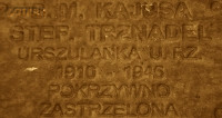 TRZNADEL Stephanie (Sr Caiusa Mary Mediatrix of All Graces) - Commemorative plaque, Underground Resistance State monument, Poznań, source: own collection; CLICK TO ZOOM AND DISPLAY INFO